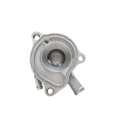 COPERCHIO GIRANTE POMPA ACQUA ORIGINALE HONDA PES 125 SH 125 150  (2005-2011) PANTHEON (03-06) 4-TEMPI