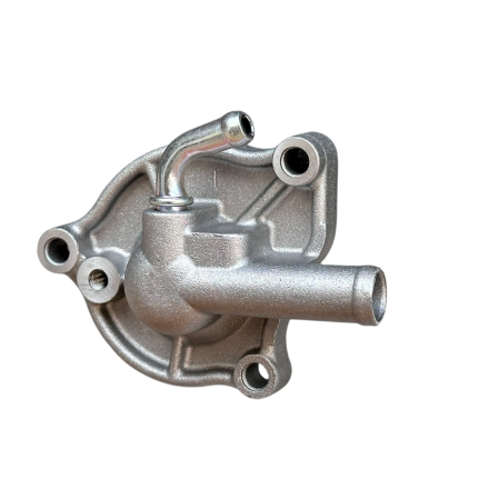 COPERCHIO GIRANTE POMPA ACQUA ORIGINALE HONDA PES 125 SH 125 150  (2005-2011) PANTHEON (03-06) 4-TEMPI