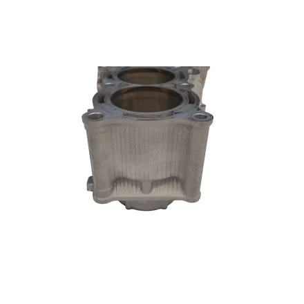 CARTER CILINDRO MOTORE ORIGINALE YAMAHA XP 530 T-Max (2012-2016)