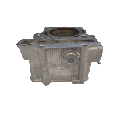 CARTER CILINDRO MOTORE ORIGINALE YAMAHA XP 530 T-Max (2012-2016)