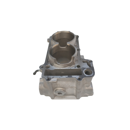 CARTER CILINDRO MOTORE ORIGINALE YAMAHA XP 530 T-Max (2012-2016)