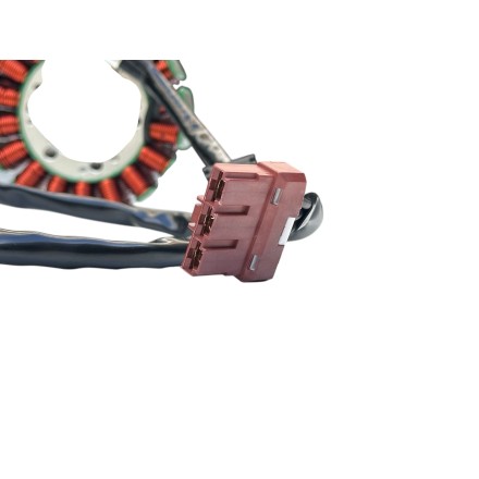 STATORE MOTORE ALTERNATORE GENERATORE PER KTM Duke SMC Rally ENDURO 690 2007-2017 PER HUSQVARNA