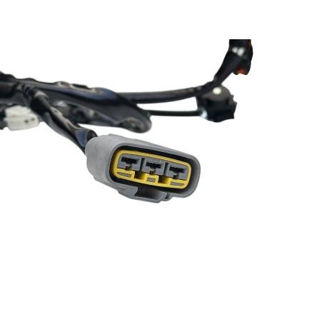 STATORE MOTORE ALTERNATORE GENERATORE PER YAMAHA TDM 900 (2002-2010)