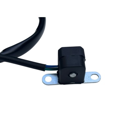 STATORE MOTORE ALTERNATORE GENERATORE PER APRILIA LEONARDO 250  PER SKYLINER PER MAJESTY (2000-2006) velvet, madison