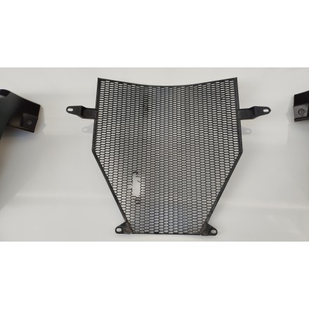 SET PLASTICHE COVER COPRI RADIATORE ACQUA ORIGINALE BMW K1200 R 2006