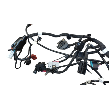 IMPIANTO ELETTRICO CABLAGGIO CAVI ELETTRICO ORIGINALE CFMOTO 800MT EXPLORE 2023