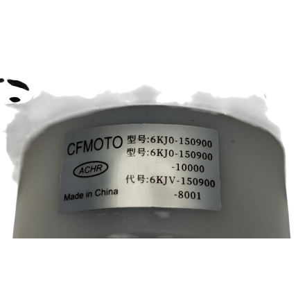 GRUPPO POMPA BENZINA POMPA CARBURANTE ORIGINALE CFMOTO 700 CL-X Sport 2022