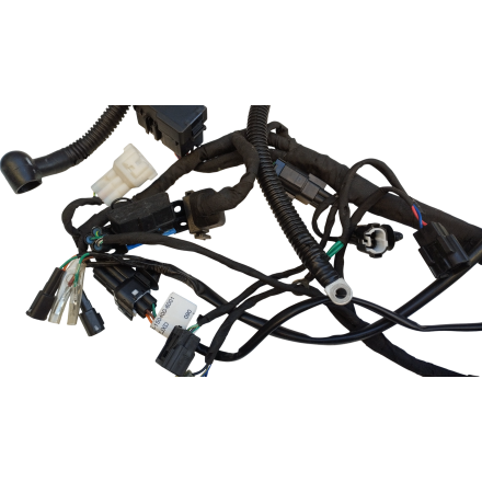 IMPIANTO CABLAGGIO GRUPPO ELETTRICO ORIGINALE CFMOTO 700 CL-X Sport 2022