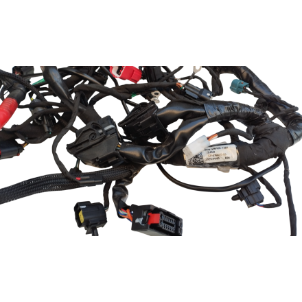 IMPIANTO CABLAGGIO GRUPPO ELETTRICO ORIGINALE CFMOTO 700 CL-X Sport 2022