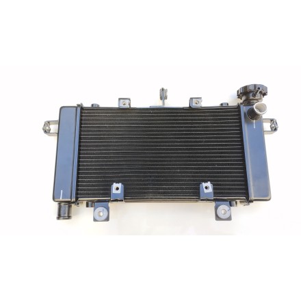 RADIATORE ACQUA RAFFREDDAMENTO MOTORE ORIGINALE VOGE VALICO 500 DSX 2022