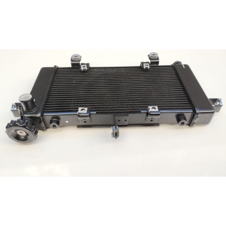 RADIATORE ACQUA RAFFREDDAMENTO MOTORE ORIGINALE VOGE VALICO 500 DSX 2022