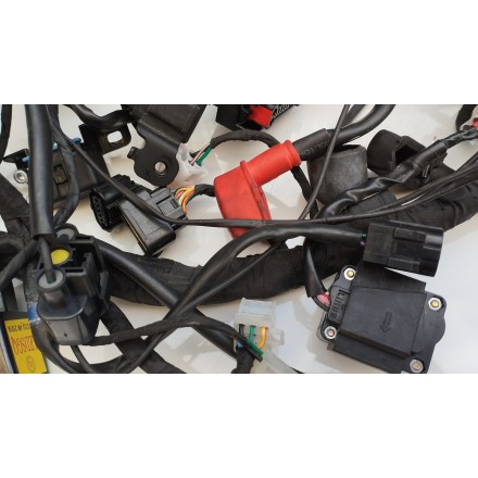 IMPIANTO ELETTRICO CABLAGGIO CAVI ELETTRICI ORIGINALE VOGE VALICO 500 DSX 2022