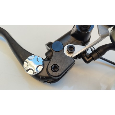 GRUPPO POMPA FRENO ANTERIORE CON LEVA E SENSORE ORIGINALE QJMotor SRT 800 2024