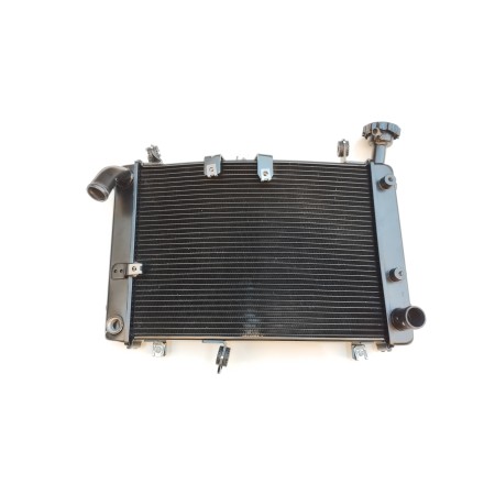 RADIATORE RAFFREDDAMENTO LIQUIDO MOTORE ORIGINALE QJMotor SRT 800 2024