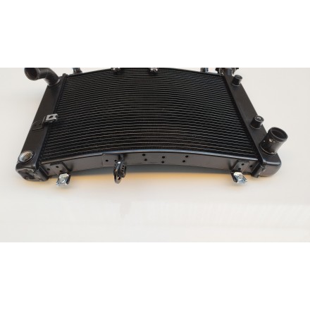 RADIATORE RAFFREDDAMENTO LIQUIDO MOTORE ORIGINALE QJMotor SRT 800 2024