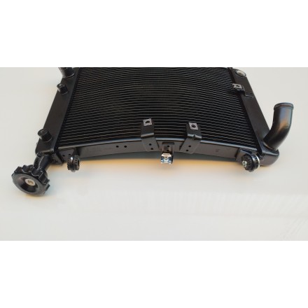 RADIATORE RAFFREDDAMENTO LIQUIDO MOTORE ORIGINALE QJMotor SRT 800 2024