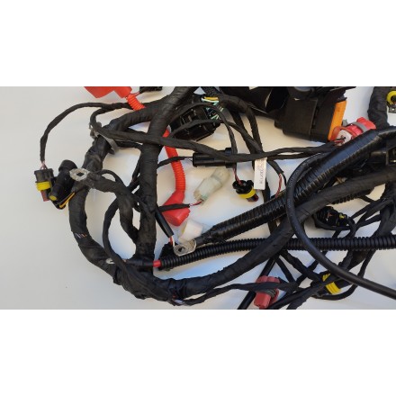 IMPIANTO CALBAGGIO GRUPPO CAVI ELETTRICI ORIGINALE QJMotor SRT 800 2024