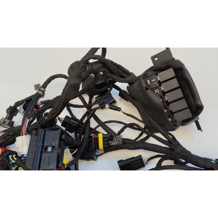 IMPIANTO CALBAGGIO GRUPPO CAVI ELETTRICI ORIGINALE QJMotor SRT 800 2024