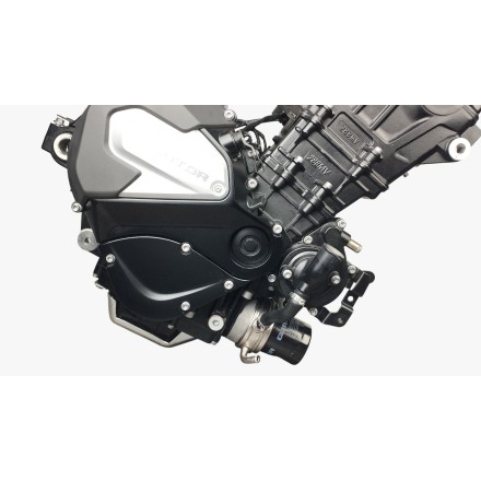 SIGLA QJ288MV-D BLOCCO MOTORE ENGINE MOTOR ORIGINALE QJMotor SRT 800 2024