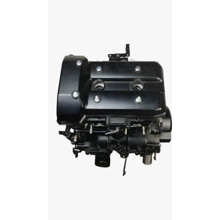 SIGLA QJ288MV-D BLOCCO MOTORE ENGINE MOTOR ORIGINALE QJMotor SRT 800 2024