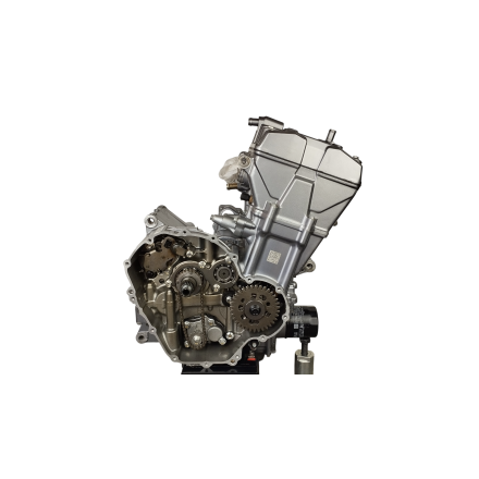 BLOCCO MOTORE COMPLETO DI CAMBIO 29.000 km ORIGINALE VOGE VALICO 500 DSX 2023