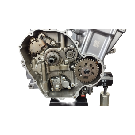 BLOCCO MOTORE COMPLETO DI CAMBIO 29.000 km ORIGINALE VOGE VALICO 500 DSX 2023