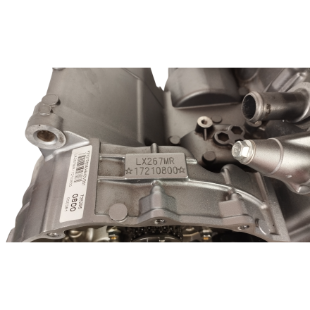 BLOCCO MOTORE COMPLETO DI CAMBIO 29.000 km ORIGINALE VOGE VALICO 500 DSX 2023