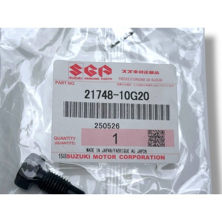 PERNO VITE BULLONE ALBERO CAMBIO CVT ORIGINALE SUZUKI AN 650 Burgman (2011-2016)