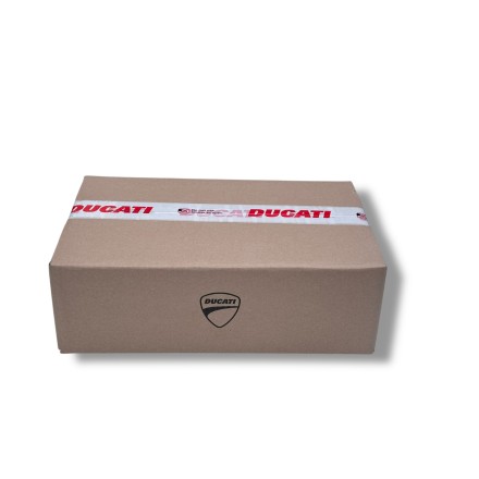 PARAMANO PROTEZIONE DESTRA FRECCIA ORIGINALE DUCATI HYPERMOTARD / HYPERSTRADA 821 2013-2015
