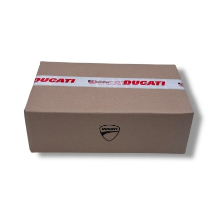 PARAMANO PROTEZIONE SINISTRA FRECCIA ORIGINALE DUCATI HYPERMOTARD / HYPERSTRADA 821 2013-2015