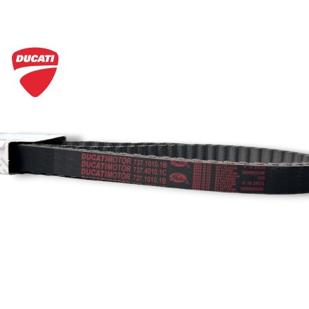 73710101B KIT CINGHIE DISTRIBUZIONE Z93 ORIGINALI DUCATI SBK 748 E 2001-2002 / ST4 / Monster S4 / S4R