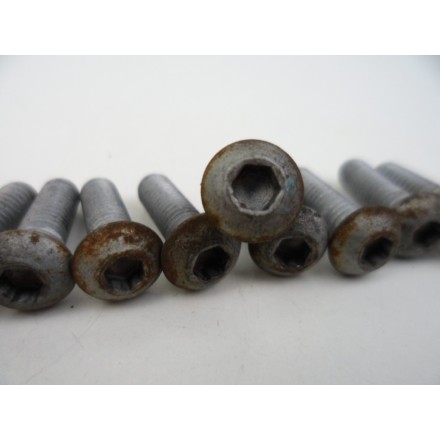 KIT 10 PERNI VITI FISSAGGIO DISCHI FRENO ANTERIORI PIAGGIO BEVERLY 500 2005