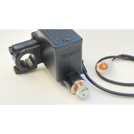 GRUPPO POMPA FRENO POSTERIORE CON LEVA SINISTRA ORIGINAL VOGE SFIDA SR1 125 2024