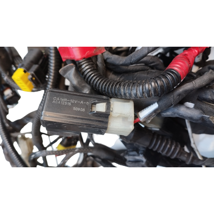 GRUPPO CABLAGGIO ELETTRICO IMPIANTO CAVI ORIGINALE DUCATI MULTISTRADA 1200 S 2016
