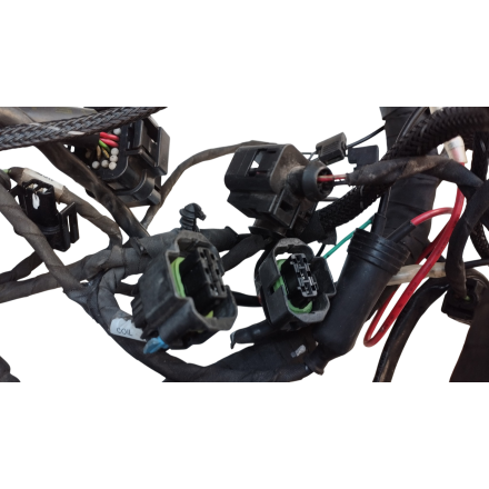 GRUPPO CABLAGGIO ELETTRICO IMPIANTO CAVI ORIGINALE DUCATI MULTISTRADA 1200 S 2016