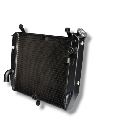 RADIATORE ACQUA RAFFREDDAMENTO LIQUIDO PER YAMAHA YZF-R1 (2002-2003)