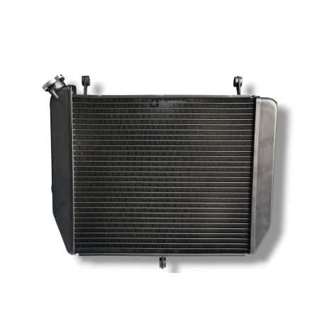 RADIATORE ACQUA RAFFREDDAMENTO LIQUIDO PER YAMAHA YZF-R1 (2002-2003)