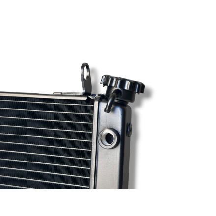 RADIATORE ACQUA RAFFREDDAMENTO LIQUIDO MOTORE PER SUZUKI SV 650 N (1999-2002)