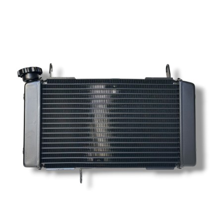 RADIATORE ACQUA RAFFREDDAMENTO LIQUIDO MOTORE PER SUZUKI SV 650 N (1999-2002)