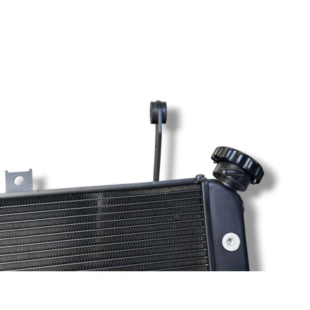 RADIATORE ACQUA RAFFREDDAMENTO LIQUIDO MOTORE PER SUZUKI SV 650 S-N (2005-2016)