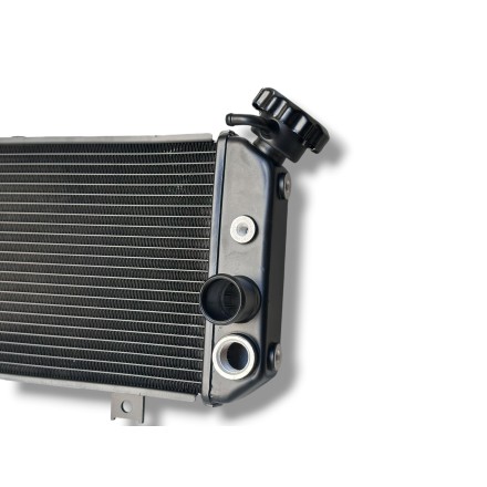 RADIATORE ACQUA RAFFREDDAMENTO LIQUIDO MOTORE PER SUZUKI SV 650 S-N (2005-2016)
