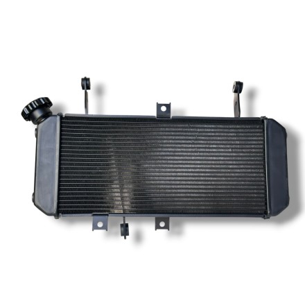 RADIATORE ACQUA RAFFREDDAMENTO LIQUIDO MOTORE PER SUZUKI SV 650 S-N (2005-2016)