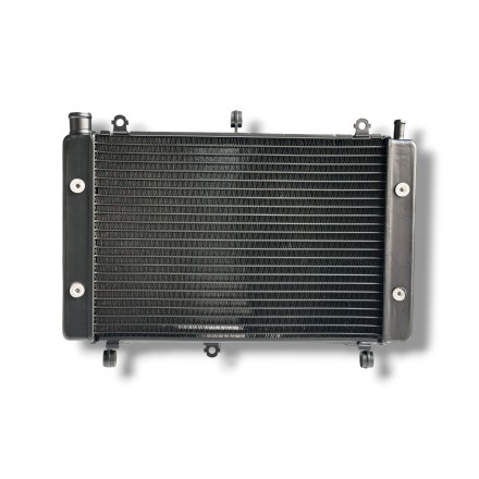 RADIATORE ACQUA RAFFREDDAMENTO LIQUIDO PER YAMAHA FZS 1000 FAZER (2001-2005)
