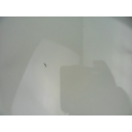 MRA  CUPOLINO PARAVENTO PARABREZZA PLEXIGLASS ANTERIORE APRILIA RSV 1000 2010