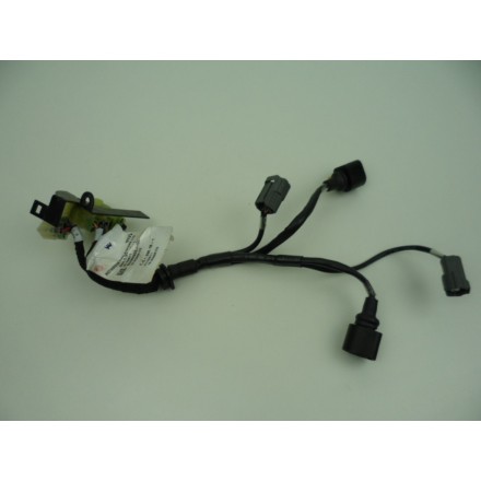 IMPIANTO CABLAGGIO INIEZIONE CORPO FARFALLATO DUCATI MULTISTRADA 1200 2016