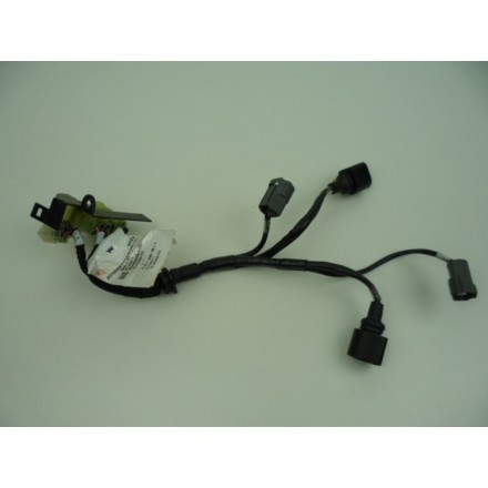 IMPIANTO CABLAGGIO INIEZIONE CORPO FARFALLATO DUCATI MULTISTRADA 1200 2016