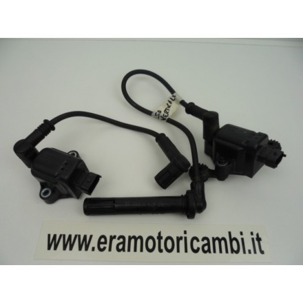 COPPIA BOBINE AVVIAMENTO CILINDRO TESTA VERTICALE DUCATI MULTISTRADA 1200 2016