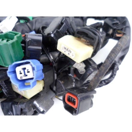 IMPIANTO CABLAGGIO TRECCIONE GRUPPO ELETTRICO SUZUKI AN 650 BURGMAN K4 2004