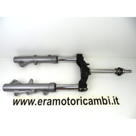 STELI FORCELLA SOSPENSIONE ANTERIORE COMPLETA SUZUKI AN 250 BURGMAN K1 2001