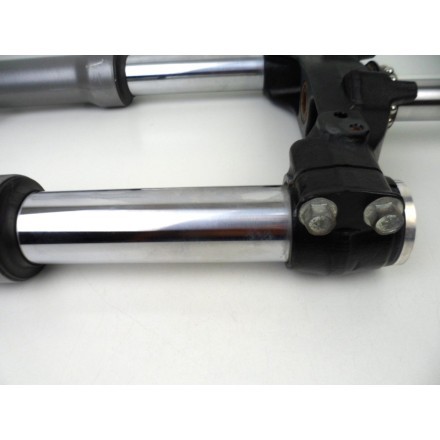 STELI FORCELLA SOSPENSIONE ANTERIORE COMPLETA SUZUKI AN 250 BURGMAN K1 2001